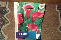 b95ae638-Picture 011.jpg